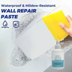 Wall Repair Paste